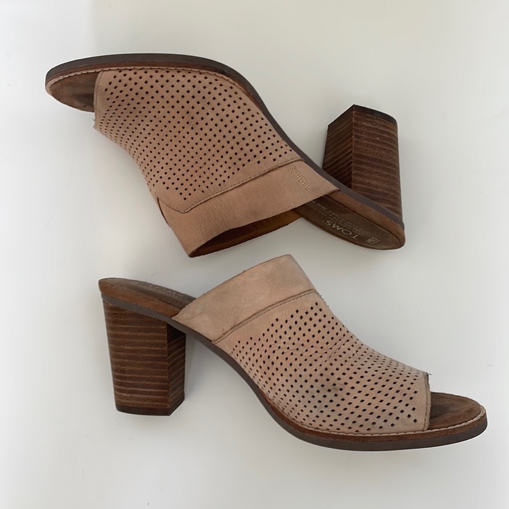 Tan Tom’s mules